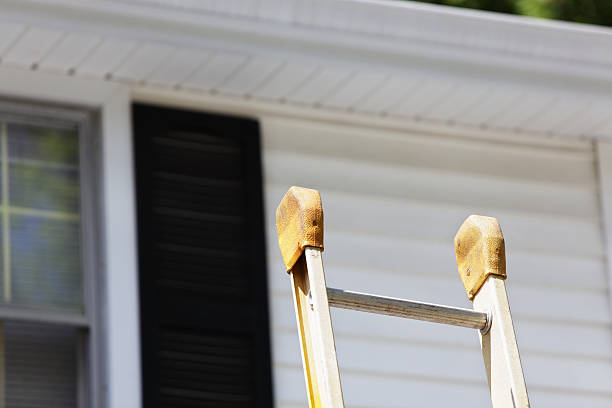 Best Vinyl Siding Installation  in Piggott, AR