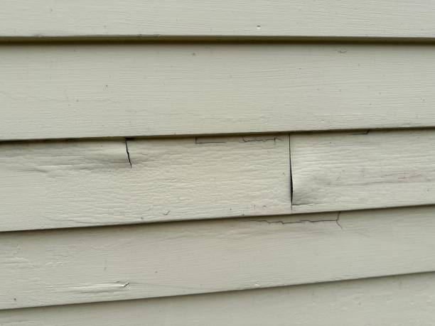 Best Siding for New Construction  in Piggott, AR